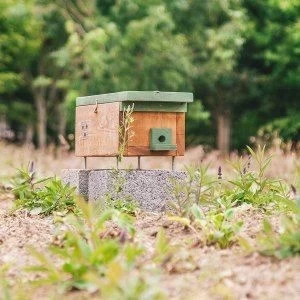 Nestkast voor bijen en hommels kopen