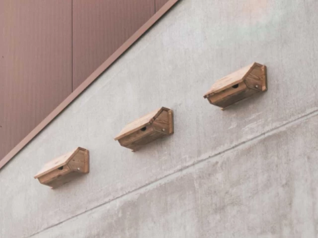 vogel huis kopen